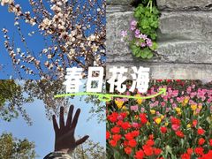 -南山植物园