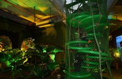 -恐龙探索乐园(磁器口店)