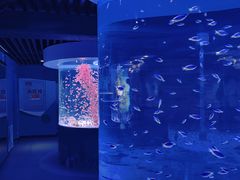 -海合安成都极地海洋公园