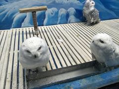 -成都浩海立方海洋公园