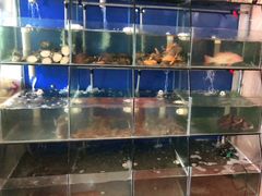 水产区-天天渔港海鲜酒家(石浦玉泉路店)