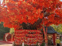 -芜湖方特东方神画