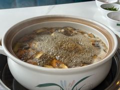 -爱膳菌锅锅(阳南店)