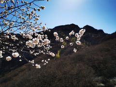 -黑龙潭风景区