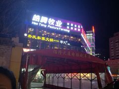 -老诚一锅羊蝎子(黄寺大街店)