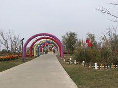 -南通鲜花小镇