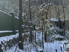 -秦岭终南山世界地质公园翠华山景区