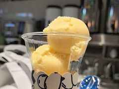 -西琳姑娘·新疆冰淇淋酸奶茶(南开大悦城店)