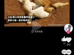 -昆明动物园