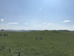 -乌兰布统草原