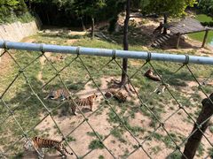 -西霞口神雕山野生动物世界