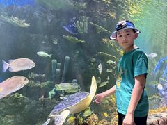 -华夏文旅海洋公园