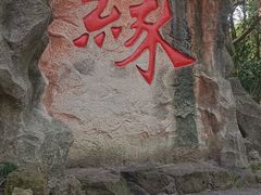 -杭州黄龙洞