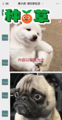 -憨大叔韩式儿童摄影(浦东新区店)