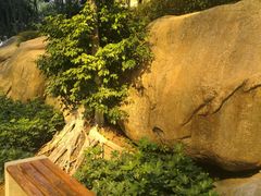 -江头公园
