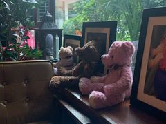 -咖法森林·咖啡  酒吧(天河店)