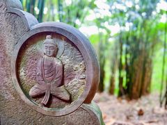 -凤栖山