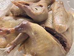 -百利鸽王(紫薇路店)