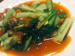 素炒毛白菜-二毛馕坑肉饭店