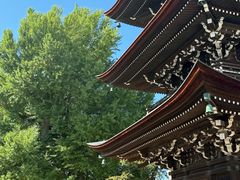 -医王山·飞騨国分寺