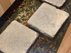 -邈墨茶馆(凤起路店)