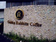 -巴厘岛黄金金兔咖啡工厂