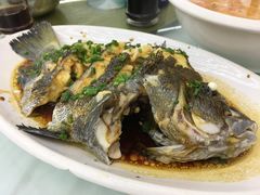 葱油石斑鱼-渔中舟海鲜大排档(普陀沈家门店)