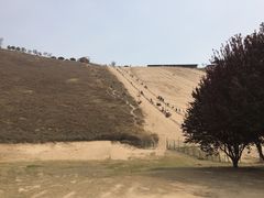 -古柏渡飞黄旅游区