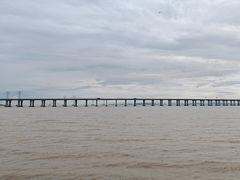 -宝安西湾红树林湿地公园