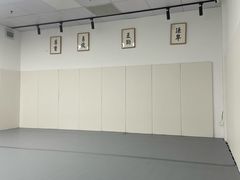 -EFL巴西柔术·综合格斗·泰拳·少儿体能训练(虹桥德必馆)