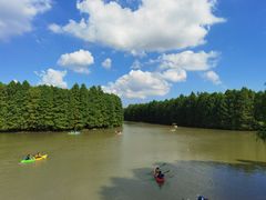 -上海海湾国家森林公园