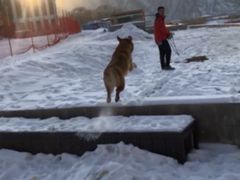 -翠云山银河滑雪场