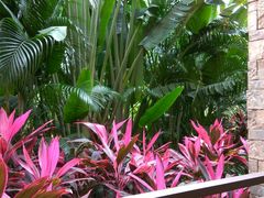 -西双版纳融创皇冠假日度假酒店