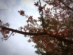 -艾溪湖湿地公园