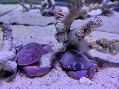 -郑州海洋馆