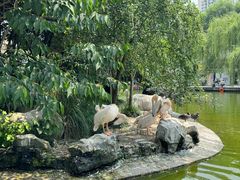 -成都动物园