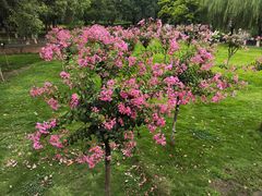 -沙河三洞古桥公园