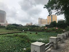 -龙环葡韵住宅式博物馆