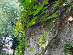 -上海孙中山故居纪念馆