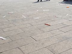 -悦城龙母祖庙
