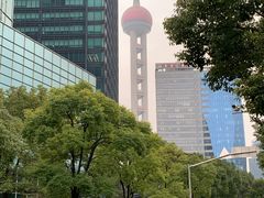 -东方明珠广播电视塔