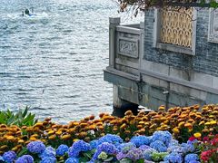 -荔湾湖公园
