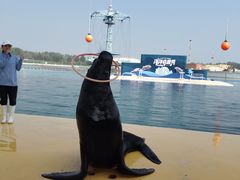 -秦皇岛乐岛海洋王国