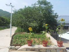 -北京西山国家森林公园