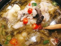 酸菜鱼-君悦酒店·1881·北京烤鸭