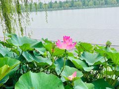 -云幽谷旅游区