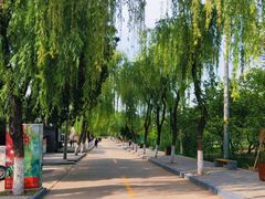 -小五台金河景区
