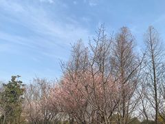 -尚贤河湿地