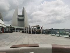 -野狸岛