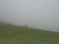 -大姆山草场